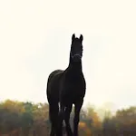 Lesne Zacisze Bauernhof *